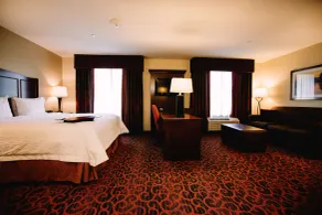 Hampton Inn & Suites Minot Airport - Chambre