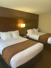 Comfort Inn Springfield - Chambre