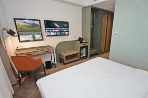 Hotel Aleksandar Conference & Spa - Room