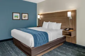 Comfort Inn & Suites Troutville-Roanoke North - Chambre