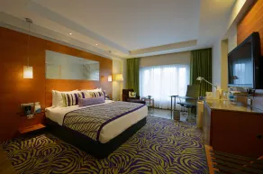 Radisson Blu Hotel Ahmedabad - Room