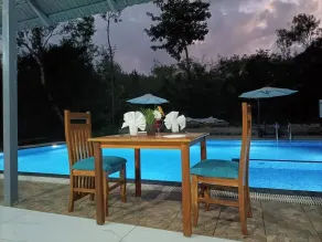 The Spectrum Resort - Chikmagalur - Piscina