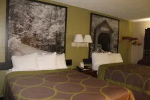 Super 8 by Wyndham Michigan City - Rom