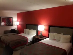 Ramada by Wyndham Albuquerque Airport - Rom
