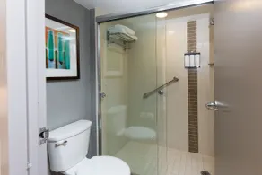 Hyatt Place Roanoke Airport / Valley View Mall - Salle de bain