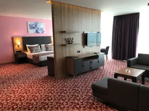 Euphoria Batumi Convention & Casino Hotel - Room