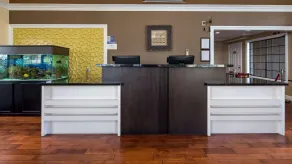 Best Western Palm Garden Inn - Réception