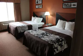 Sleep Inn & Suites Ronks - Lancaster Area - Vue de la chambre