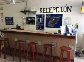 Agave Azul - Grand Cozumel, Hotel and Diving - Reception