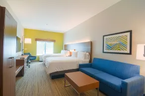 Holiday Inn Express Hotel & Suites Tampa-USF-Busch Gardens by IHG - Chambre
