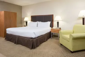 Holiday Inn Manchester Airport by IHG - Chambre