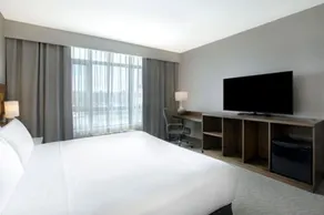 Great Blue Heron Hotel - Chambre