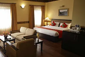 Hotel Tibet International - Room