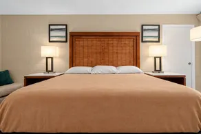 Budget Motel - Room