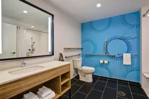 Tru by Hilton Alcoa Knoxville Airport - Salle de bain