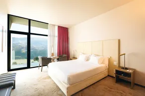 Douro Palace Hotel Resort & SPA - Chambre