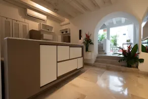 Delirio - Recepción