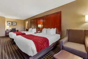 Comfort Suites Delavan - Lake Geneva Area - Chambre