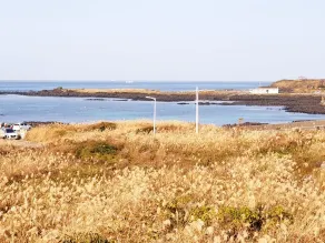 Morning Beach Pension - Vue de la chambre