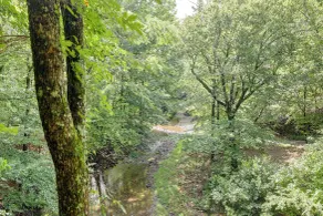 Remote Wolf Pen Gap ATV & Ouachita Hiking Base - Innvendig
