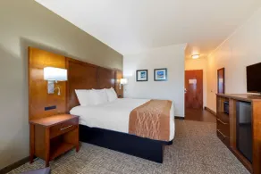 Comfort Inn Huntsville Research Park - Chambre