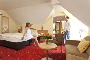 AKZENT Hotel Goldner Stern - Camera