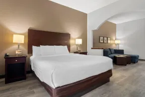 Comfort Suites Milledgeville - Rom