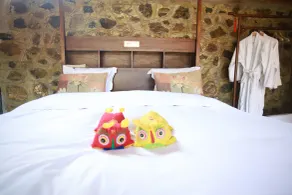 Beijing Shiguang Greatwall Boutique Inn - Camera