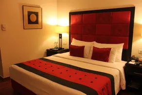 Park Plaza, Ludhiana - View from room