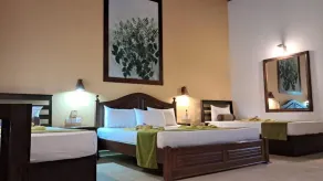 Jasmin Villa Ayurveda Resort - Værelse