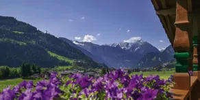 Villa Haidacher Relax & Lifestyle Apartments - Vista dalla camera