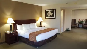 Comfort Inn Cincinnati Northeast - Chambre