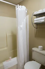 Econo Lodge Canton North - Badezimmer