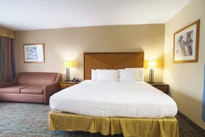 OYO Hotel Harriman near I-40 - Chambre