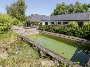 The Visiting House - Piscine