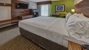 Holiday Inn Express Memphis Medical Center - Midtown by IHG - Chambre