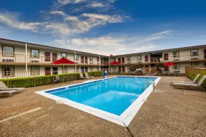 Red Roof Inn Knoxville North - Merchants Drive - Piscine