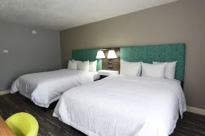 Hampton Inn Youngstown-North - Chambre