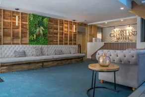 Hotel Montes De La Castellana - Reception