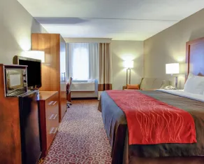 Comfort Inn Bangor North - Chambre