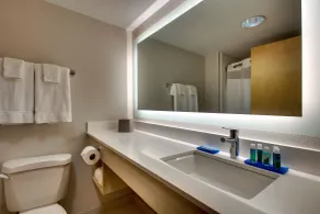 Holiday Inn Express Hotel & Suites Cedar Rapids I-380 at 33rd Avenue by IHG - Salle de bain