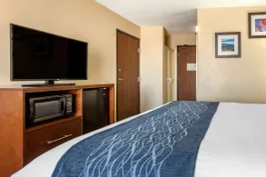 Comfort Inn & Suites Alameda at Albuquerque Balloon Fiesta Park - Chambre