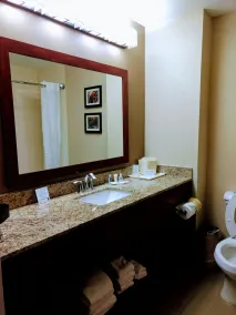 Comfort Suites Johnson City near University - Salle de bain