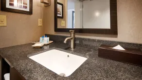 Best Western Plus Roswell / Alpharetta - Salle de bain