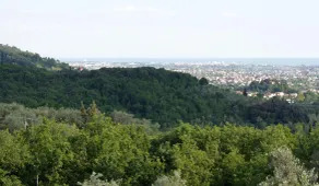 Ca' Bianca Bed & Breakfast - Vista dalla camera