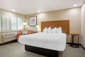 Best Western Shadow Inn - Chambre