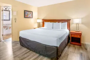 Econo Lodge Inn & Suites Durango - Chambre