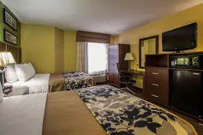 Sleep Inn Asheville - Biltmore West - Chambre