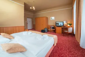 Spa Resort PAWLIK-AQUAFORUM - Habitación