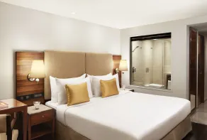 President - IHCL SeleQtions - Room